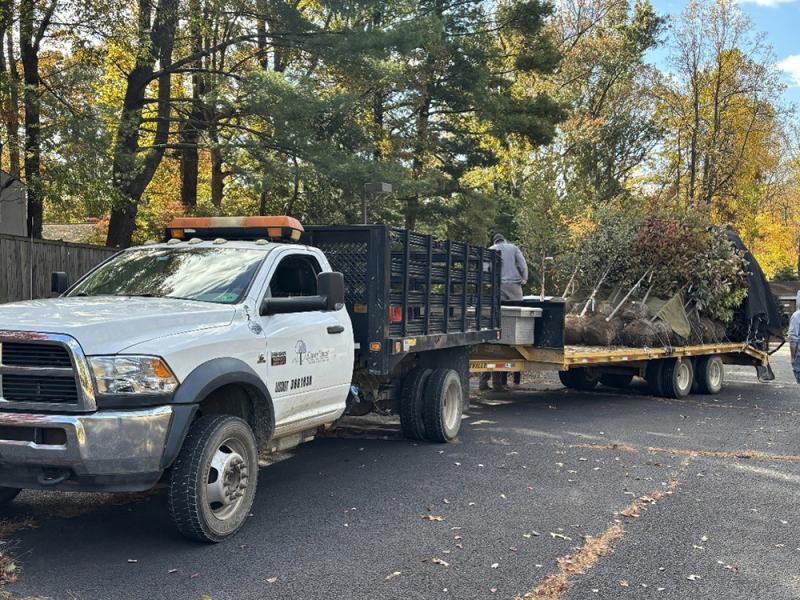 Trees and truck