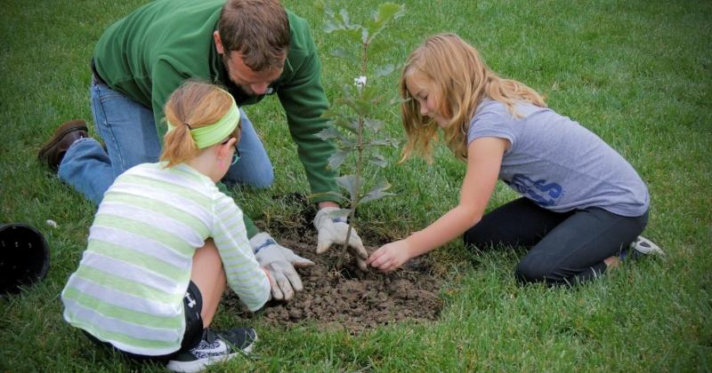 People planting a tree