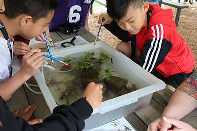 Photo: Mantua Elementary Watershed Eductaional day