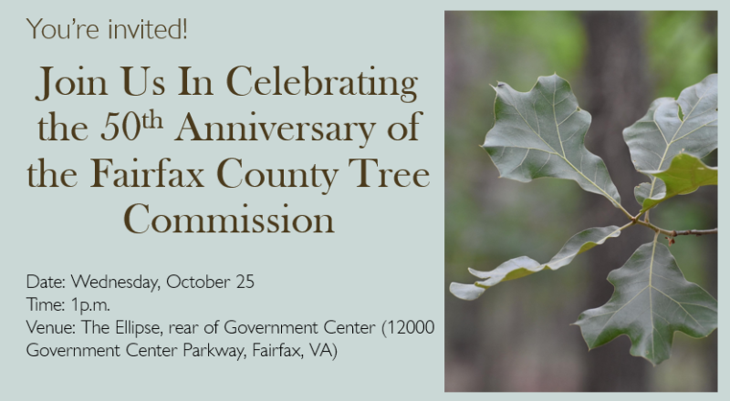 You're invited to the Tree Commission's 50th Anniversary. Wednesday, October 25 at 1 p.m. at the Ellipse at the rear of the Government Center.