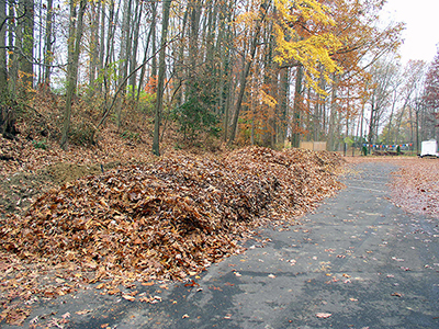 DPWES Proposes Discontinuing Vacuum Leaf Collection Service Following DPWES Proposes Discontinuing Vacuum Leaf Collection Service Following