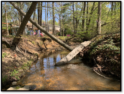 Accotink Creek Tributary at Carrleigh Parkway