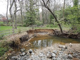 Photo: Channel incision and migrating onto private property