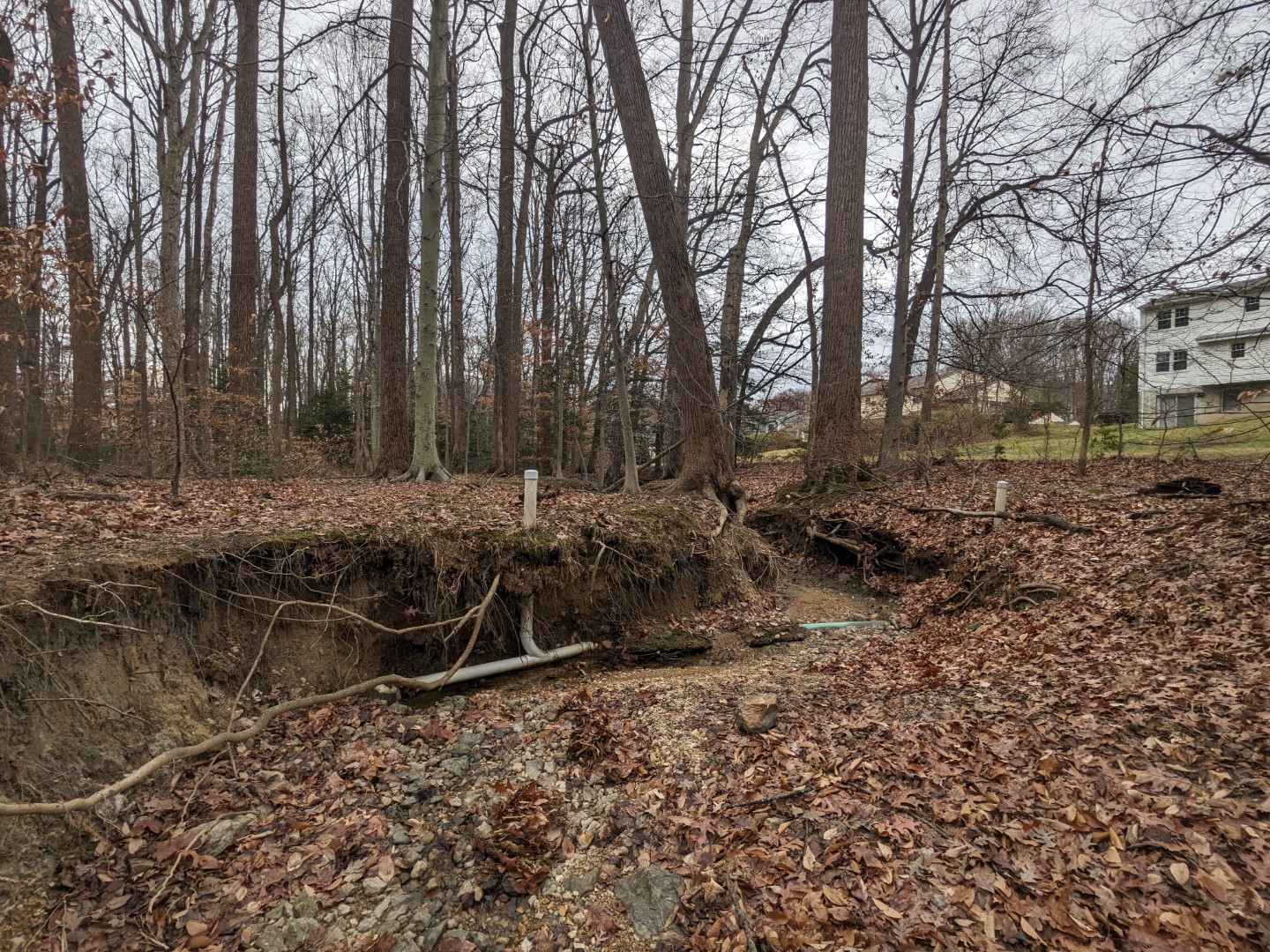 Exposed Sanitary Sewer Lateral