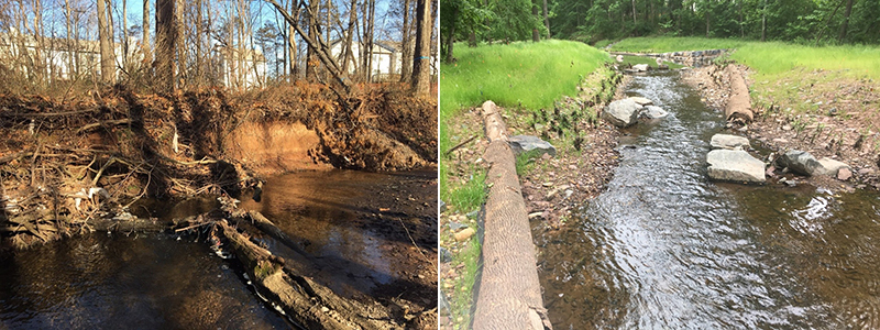 Limited bank armoring was installed as well as reconnecting the floodplain.