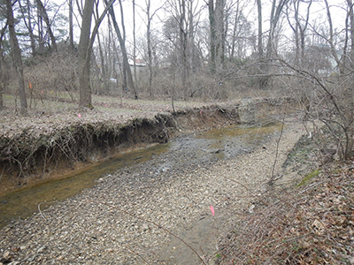 Photo - Channel incision along the entire bank.