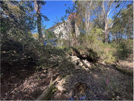 Piney Freda bank Erosion