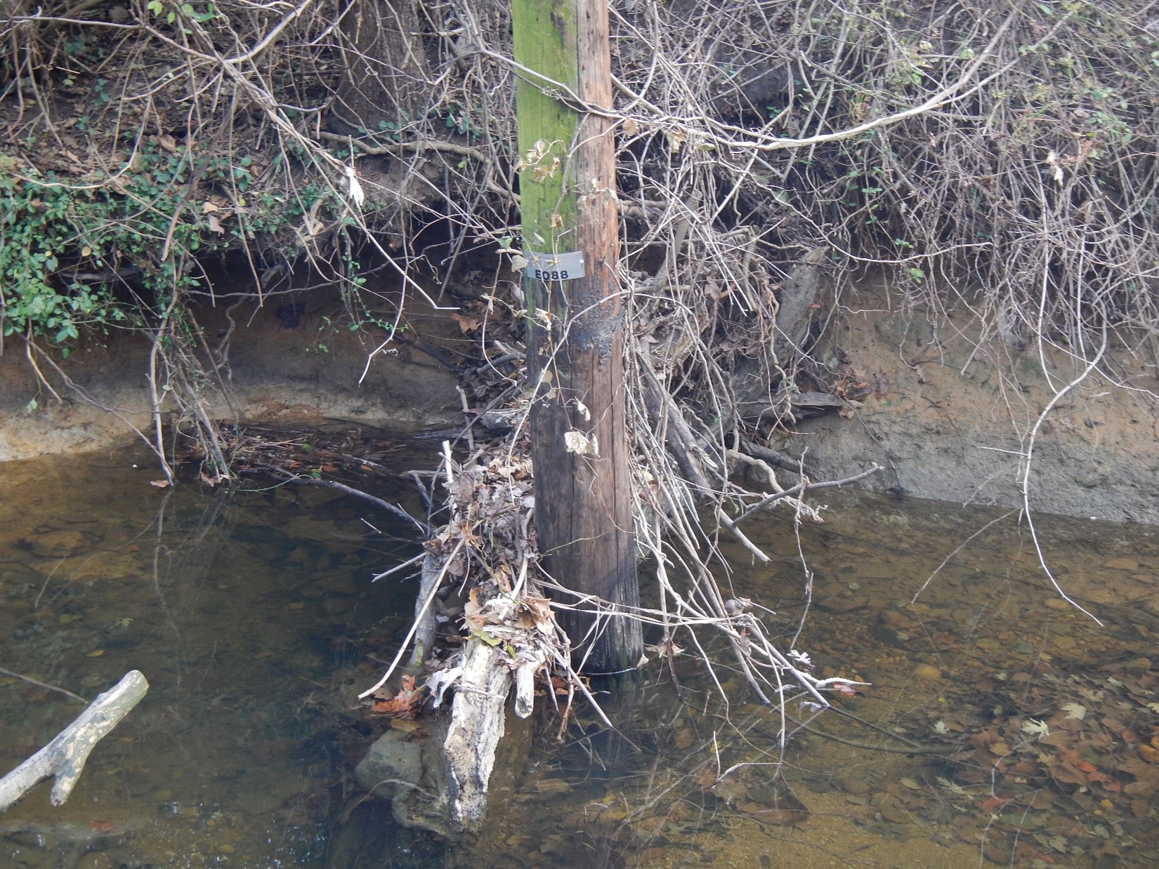 Channel widening exposed a utility pole, leaving it vulnerable to damage. 