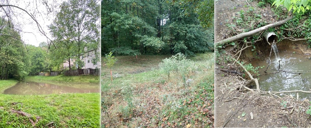 Circle Woods Pond photos