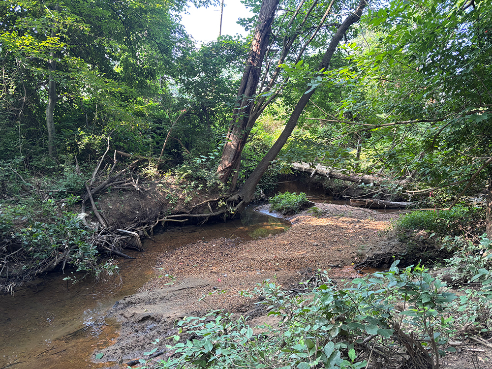Hunters Branch and Trib at Arlington Blvd Stream Restoration (AC9241)