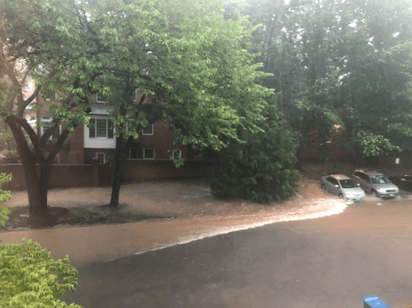 Flooding at Kings Manor