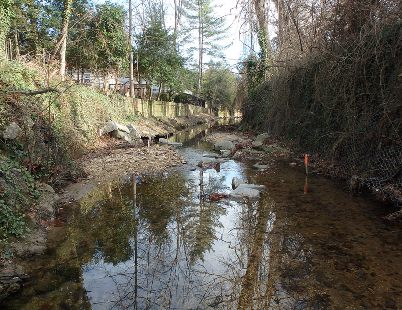 Photo: Pike Branch Project Stream