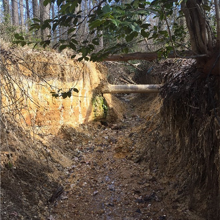 Piney Run Tributary at Lamplighter Way