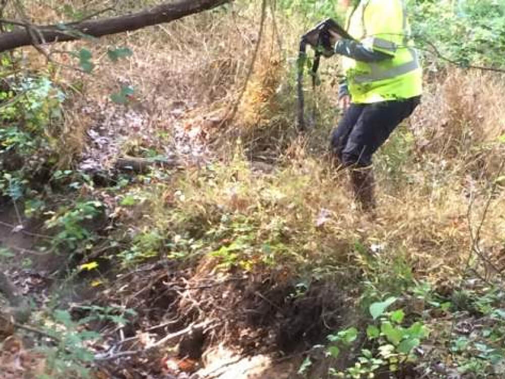 South Branch @ Fort Hunt Elementary