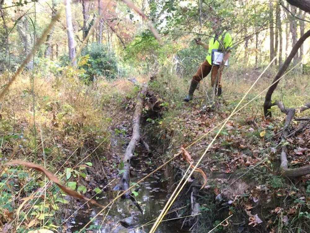 Staff surveying the site