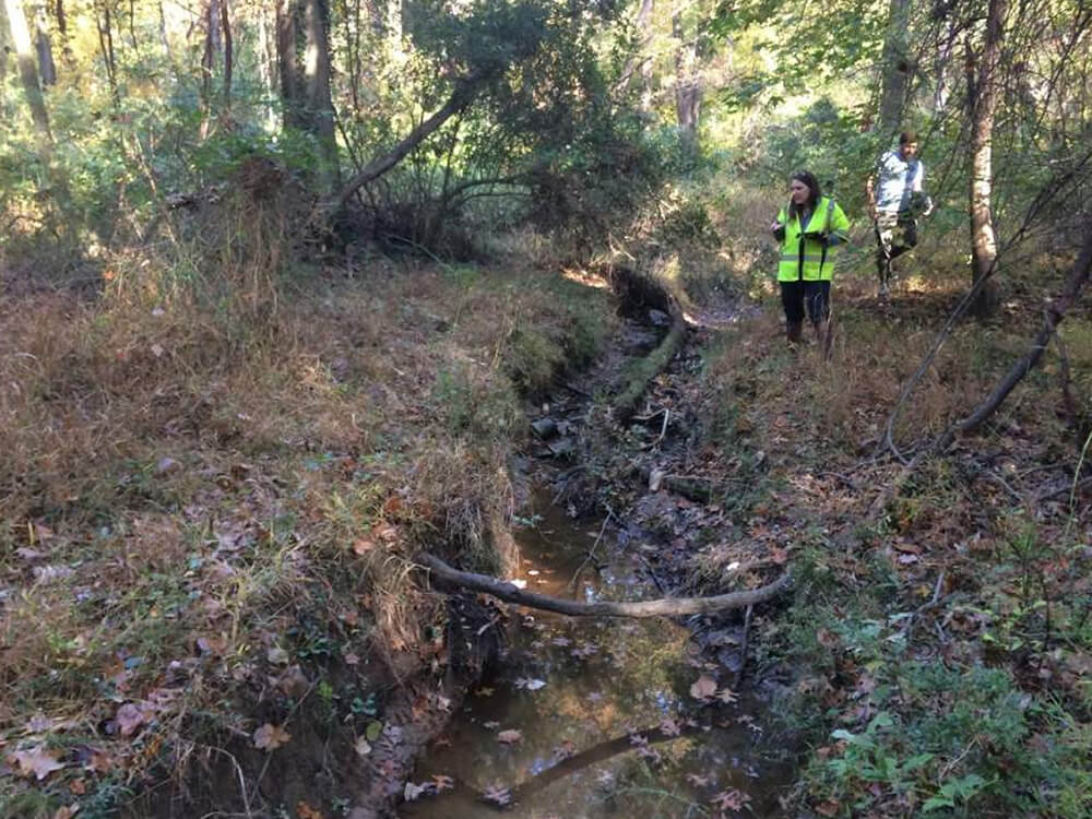 Staff surveying the site