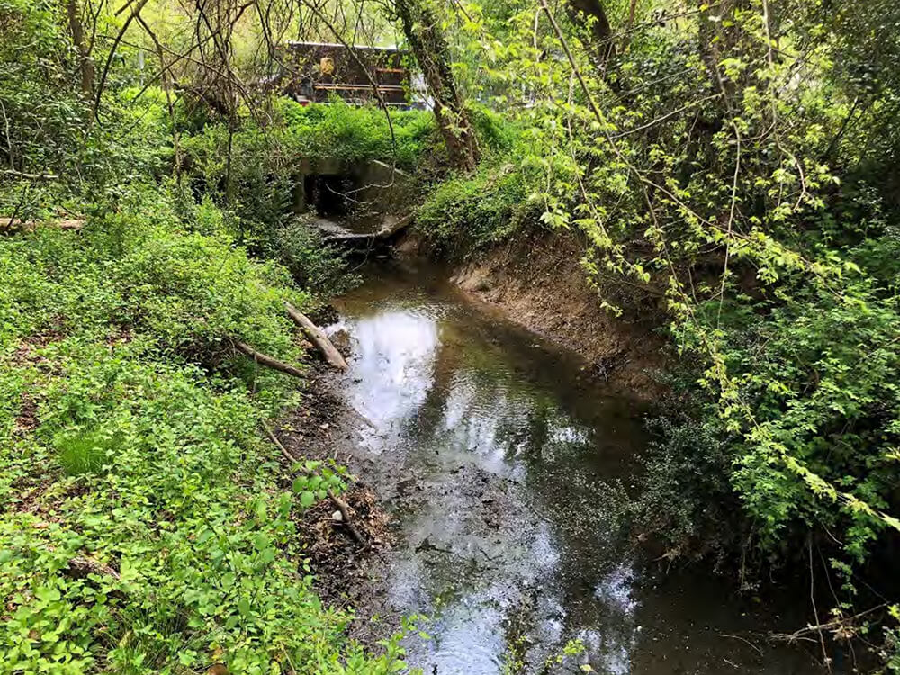 Photo - Down-cutting and widening channel with vertical, eroded banks downstream of culverts under Camden Street. 