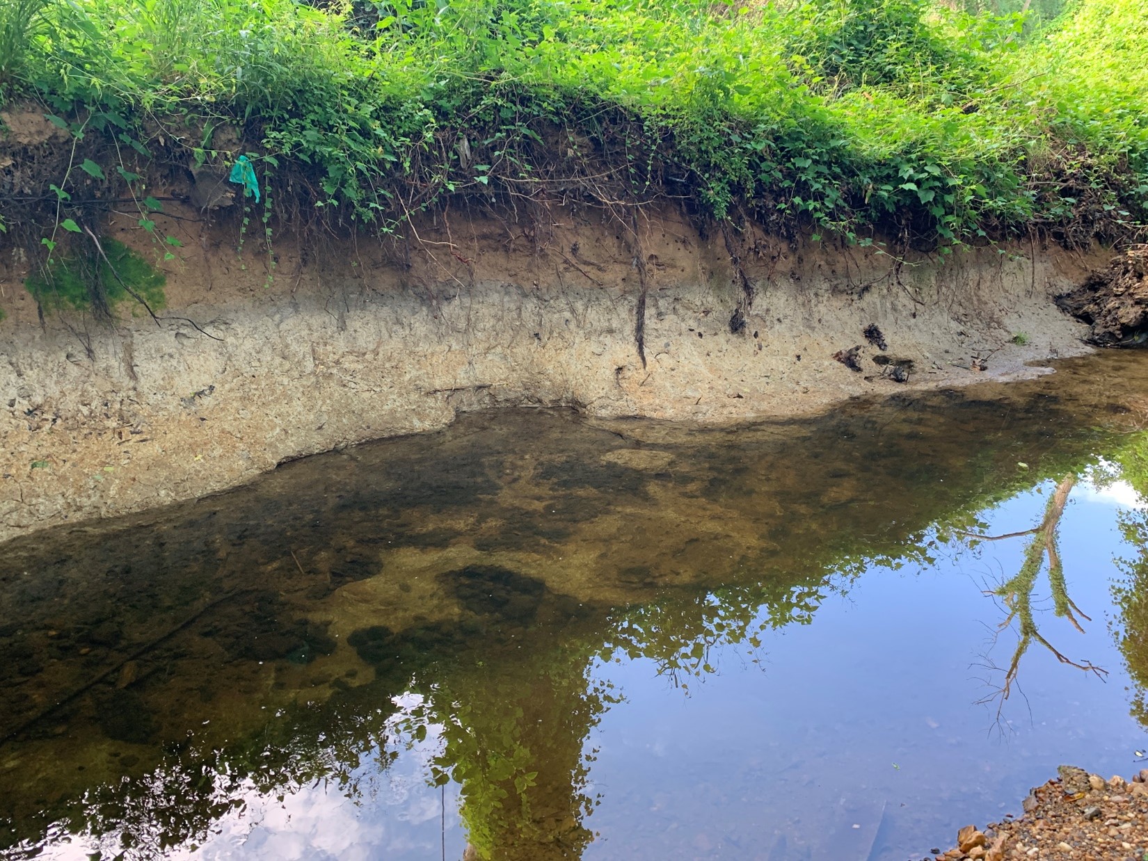 Stretches of exposed, bare banks contribute to sediment pollution during high flow events. 