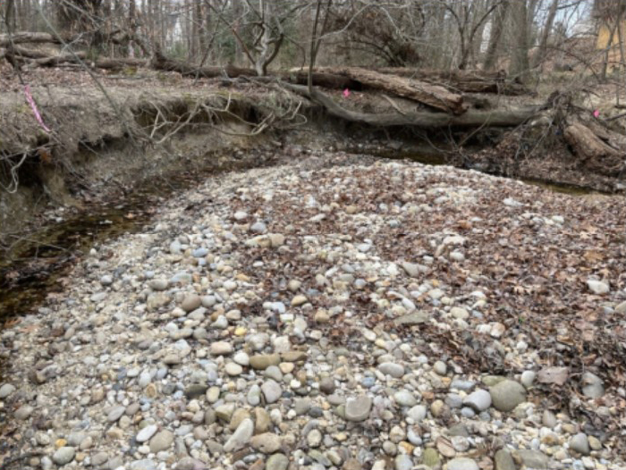 Evidence of active sediment transport and ongoing channel instability.