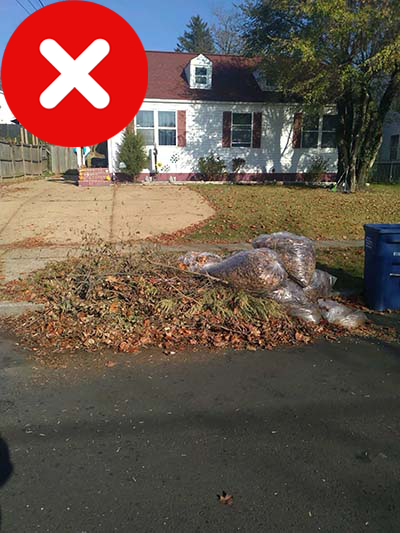 Unacceptable - Bags and Brush in Pile