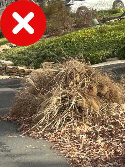 Unacceptable - Brush in Leaf Pile