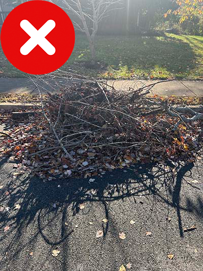 Unacceptable - Sticks in Pile