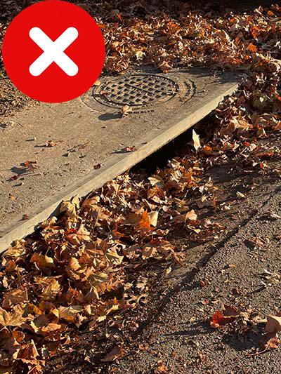 Unacceptable - Leaves blocking storm drain