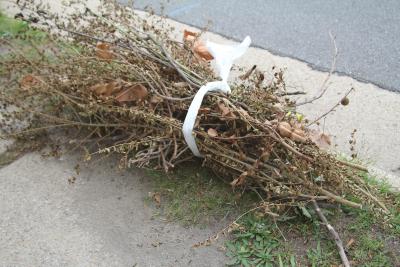 Yard Waste Public Works And Environmental Services