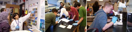 students conducting sewer science experiments