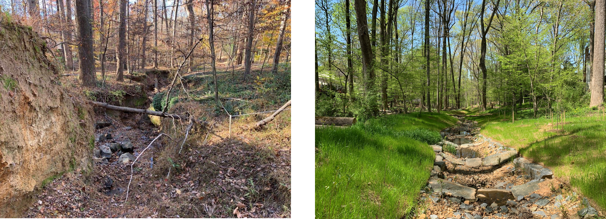 Before and after images of a restored stream.