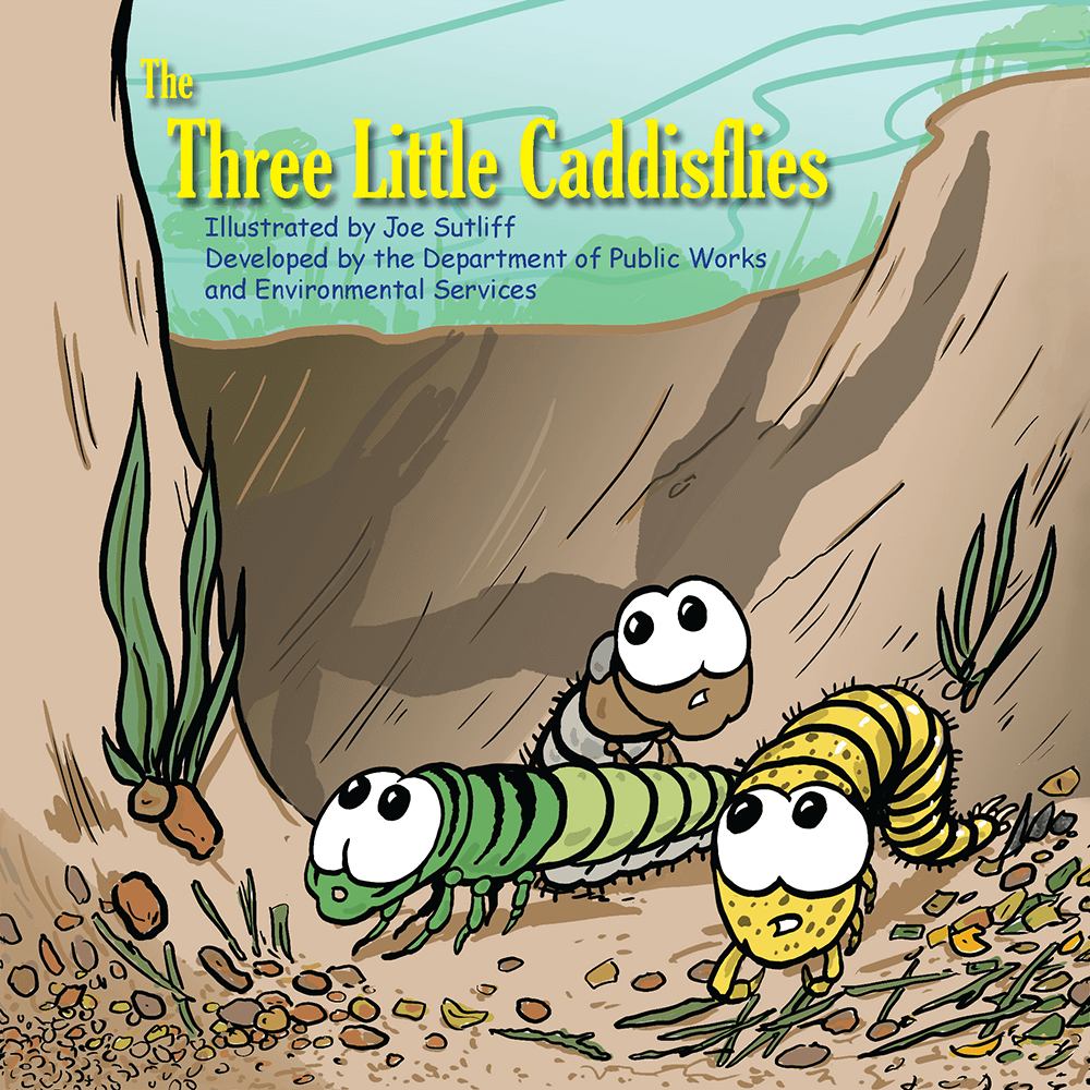Caddisfly Book Cover