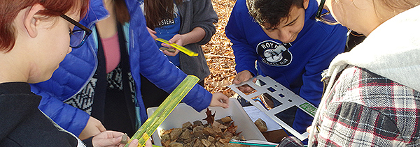 Students take measurements in the field