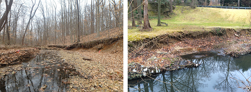 Indian Run Court and Columbia Road Before Pics