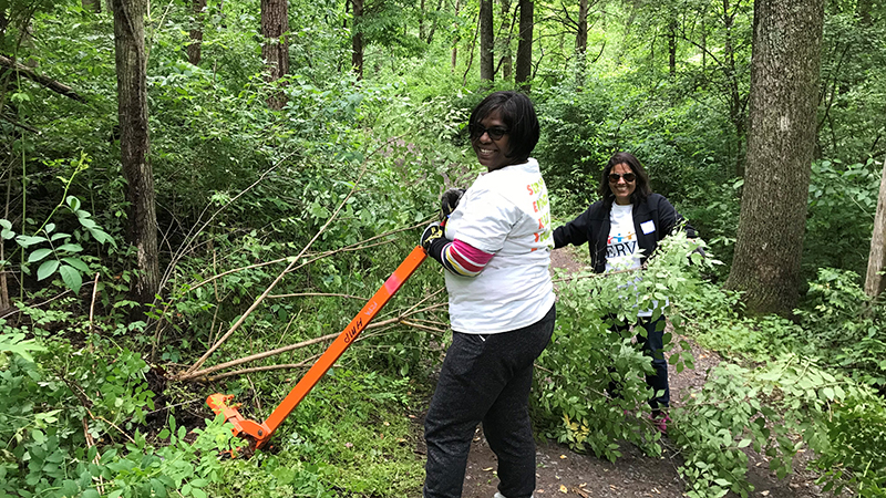 volunteer using weed wrench