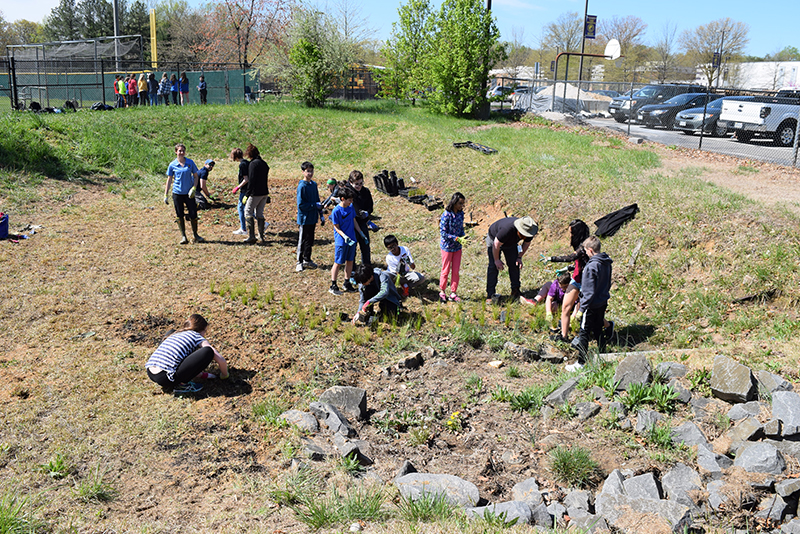 Lake Braddock Secondary students intall native plants in a stormwater management facility at their school.
