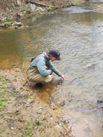 Bacteria and Water Chemistry