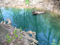 blue dye in stream