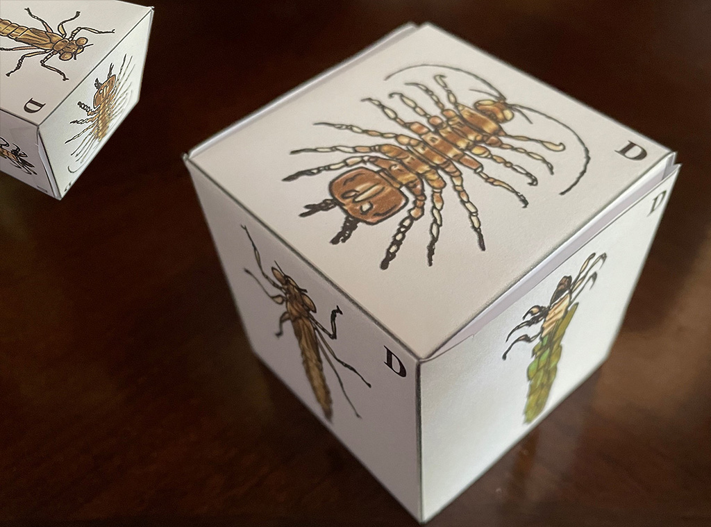 Make your own critter cube just like these.