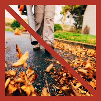 Blow leaves or grass clippings into storm drain.