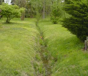 grass swale