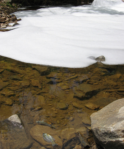 polluted chemical spilled