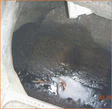 Unpermitted Vehicle Washing Discharge