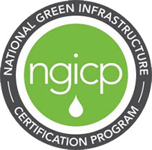 ngicp logo
