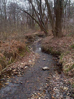 perennial stream