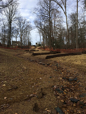 post-construction filled in, no erosion