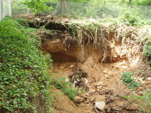 condition of project area