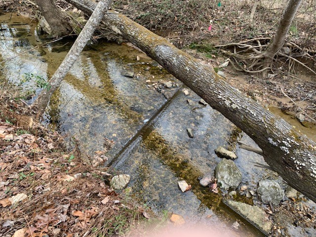 Exposed sewer in the mainstem of Rocky Branch.