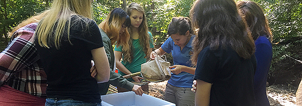 Students stand around table in wooded area