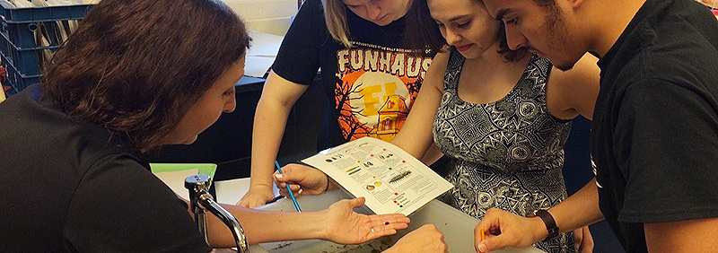 Ecologist teaches a stream insect lab