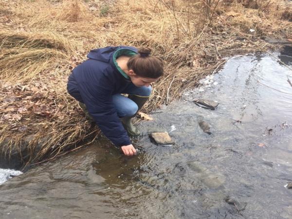 County staff collects a water sample 